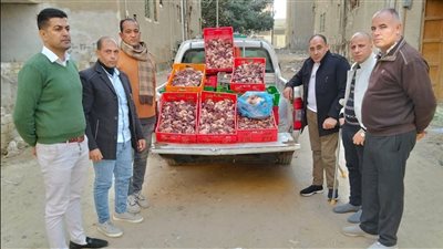 ضبط 250 كيلو لحوم ودواجن غير صالحة للاستهلاك بالفيوم 
