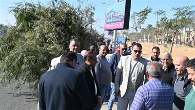 تشجير محور عمر بن الخطاب بالعاشر دعمًا للمدن الخضراء