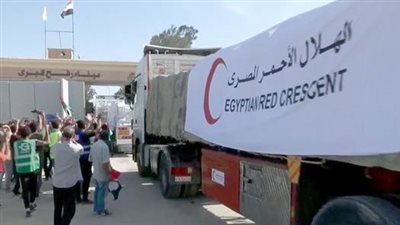 تحرك إنساني جديد.. مصر تدفع بقافلة مساعدات رقم 110 إلى قطاع غزة