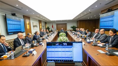 6.25 مليار جنيه إيرادات المنطقة الاقتصادية بزيادة 55%