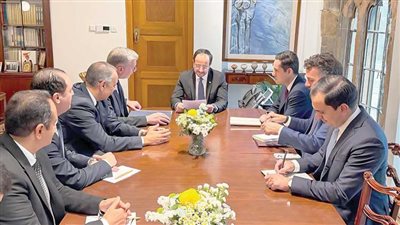 مصر مركز إقليمى إلمداد األسواق األوروبية بالطاقة