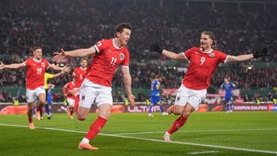 تيك توك يدخل المونديال.. لقطات حية من مباريات كأس العالم