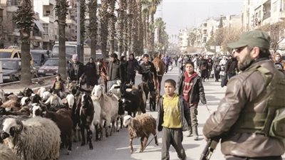 مديرية صحة حلب: 24 قتيلاً و129 مصاباً جراء استهداف قسد للأحياء السكنية 