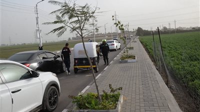 الدقهلية تتابع تقييم الوحدات المحلية لأفضل مدينة وحي وقرية