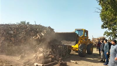 تشكيل لجنة للمرور  والتفتيش على مكامير الفحم النباتي بمراكز الدقهلية 