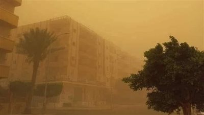 محافظة الشرقية تحت العاصفة الترابية 
