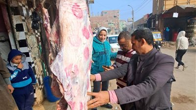 ضبط 173 كيلو لحوم غير صالحة بالمنيا 