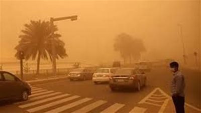 خبير صحي يحذر: العواصف الرملية تهدد صحة الأطفال والبالغين