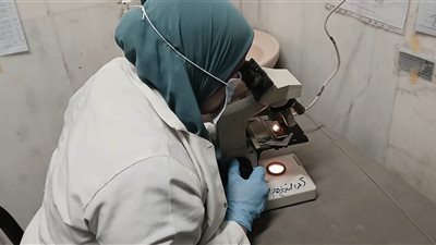 1904مواطن استفادوا من القافلة الطبية المجانية في كفر الشيخ هلال بالدقهلية 