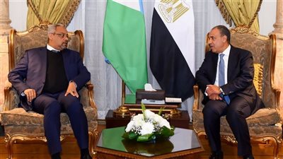 عبد العاطي: مصر تواصل دورها الفاعل لدعم الاستقرار الإقليمي وتعزيز التعاون المشترك