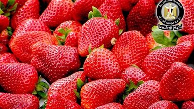 فتح سوق جمهورية أوزبكستان أمام صادرات مصر من الفراولة الطازجة