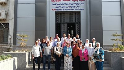 بشهادات عالمية.. منظومة الدواجن المصرية تحقق الريادة في الأمان الحيوي ودقة التشخيص
