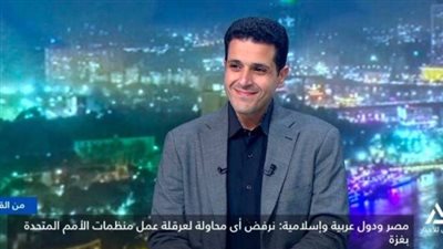 خبير غلاقات دولية: تحركات مصر الدبلوماسية 