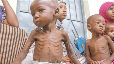 من جلود الحيوانات إلى قشور الفول ..السودان يصارع الموت جوعا