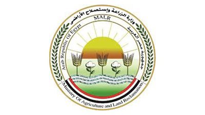 مصر تودع «السركين» وتعتمد خطة للسيطرة على الكالب الضالة