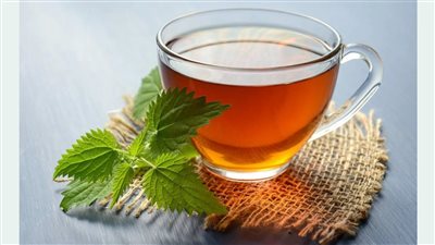 ماذا يحدث لمستوى السكر إذا شربت شاي القراص يومياً؟
