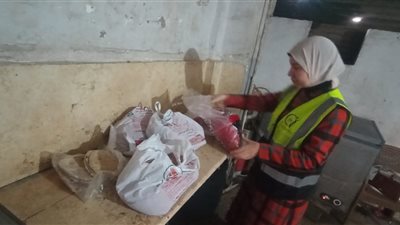 ضبط 300 كيلو منتجات لحوم غير صالحة للاستهلاك الآدمي بمنطقة الصوفي في الفيوم 