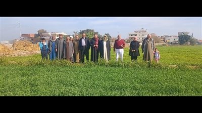 تكثيف الإرشاد الزراعي بالشرقية استعدادًا لموسم القمح 2026