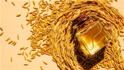 دراسة: زيت نخالة الأرز يخفض الكوليسترول الضار طبيعيًا