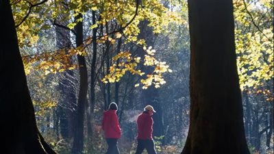 دون تغيير النشاط البدني.. تغييرات يومية بسيطة تدعم الصحة وتطيل العمر 
