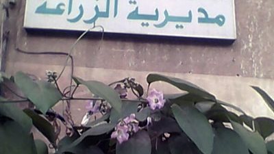 إحالة مخالفات صرف أسمدة للمتعدين على الأراضي الزراعية بكفر الشيخ إلى النيابة العامة