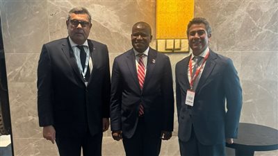 نائب وزير الخارجية يشارك في مراسم تنصيب رئيس جمهورية غينيا المنتخب