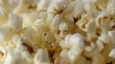 ماذا يحدث لجسمك عند تناول الفشار المُعدّ في الميكروويف؟