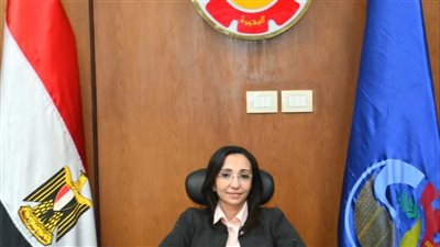 محافظ البحيرة تستقبل منسق مشروع حصر أملاك الدولة بهيئة المساحة