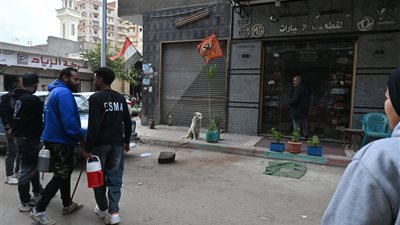 البحيرة تطلق خطة شاملة للحد من انتشار الكلاب الضالة 