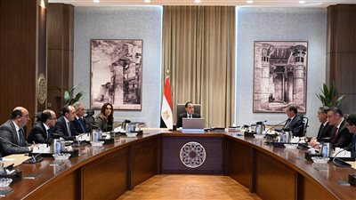 الحكومة تناقش إجراءات التعامل مع الكلاب والحيوانات الضالة