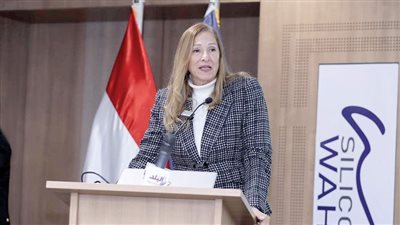 هدى بركة: 250 شركة ناشئة تحويل الأفكار إلى مشاريع ناجحة