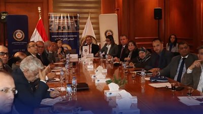 المجلس الأعلى للجامعات ينظم ورشة عمل عن حوكمة البرامج البينية