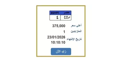 مزاد اللوحات المميزة للسيارات في مصر 2026: خطوات الحصول على لوحتك أونلاين