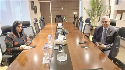 التأمين متناهى الصغر يستهدف 10 ملايين مواطن من محدودى الدخل