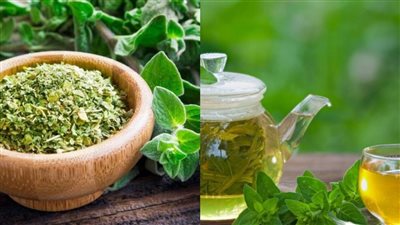 شاي الأوريجانو.. مشروب عشبي غير متوقع يعزز المناعة ويقاوم الالتهابات