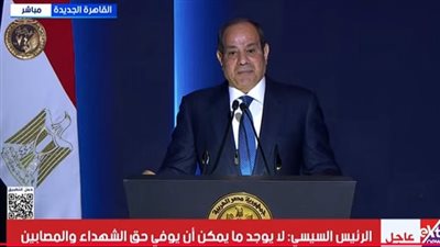 السيسي يوجه التحية لشهداء الشرطة ويؤكد التزام الدولة بدعم أسرهم والحفاظ على استقرار مصر