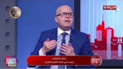 محلل عسكري: الرئيس السيسى حذر مبكرا من خطر الميليشيات على الدول