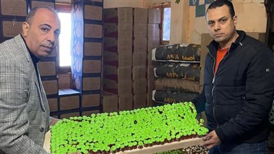 ضبط 29 ألف قطعة بسكويت مخروطي غير صالحة للاستهلاك بالفيوم 