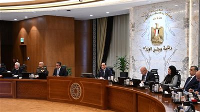 الحكومة توافق على 7 قرارات مهمة منها دعم القطاع الصناعي بـ 15%