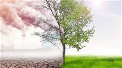 تقلبات جوية حادة في يناير تثير مخاوف صحية.. تحذيرات مرضى الحساسية والصدر