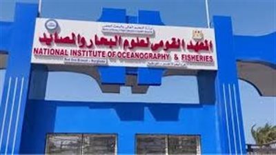 غداً.. انطلاق الملتقى العلمي الأول لمعهد علوم البحار بالإسكندرية لبحث مستقبل الاستزراع المائي