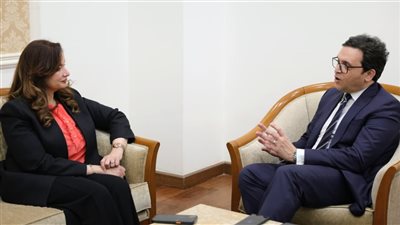 وزير الثقافة يصدر قرارًا بتولي الدكتورة رشا صالح إدارة الأكاديمية المصرية للفنون بروما
