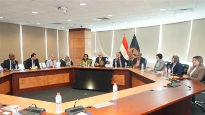الرقابة المالية والبنك المركزي يناقشان تعزيز دعم تمويل المشروعات الصغيرة 
