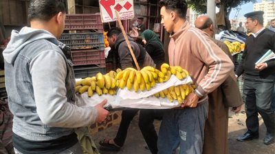 رفع 1123 إشغال مخالف وتحرير 17 محضرًا متنوعًا خلال حملة مكبرة