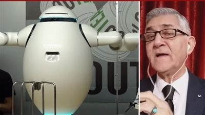 استشاري تنمية واستثمار: الصناديق السيادية تهرب من 