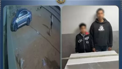 ضبط المتهمين بالتعدي على كلب بعصا خشبية والتسبب في نفوقه بأكتوبر