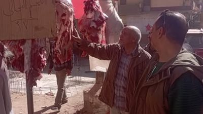 ضبط 3 اطنان لحوم ودواجن فاسدة في حملات رقابية بالمنيا 