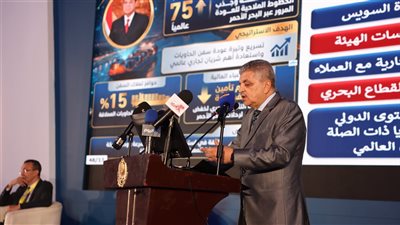 ربيع: 449 مليون دولار عائدات قناة السويس منذ بداية العام الجاري