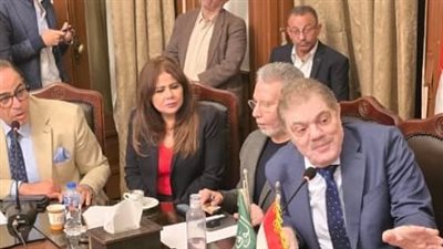 أمل رمزي: توافد رؤساء الأحزاب على مقر الوفد يؤكد استعادة الحزب لقيادة المعارضة بعد فوز البدوي