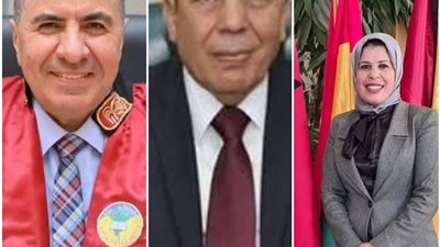 ننشر.. تشكيل مجلس أمناء جامعة كفر الشيخ الأهلية